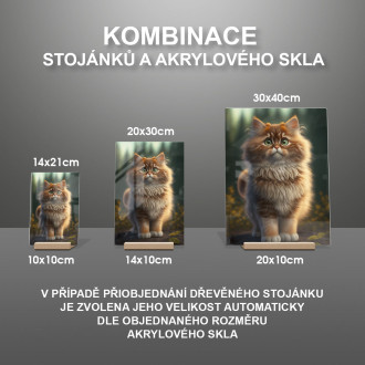 Nórska lesná mačka animovaná