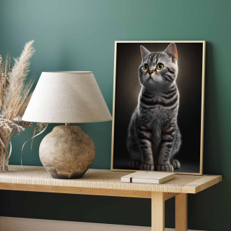 Americká krátkosrstá mačka akvarel