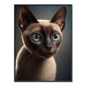 Tonkinská mačka akvarel