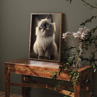Ragdoll mačka akvarel