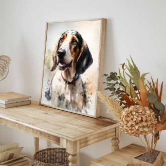 Americký anglický coonhound akvarel