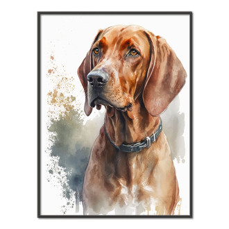 Redbone Coonhound akvarel