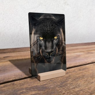 Akrylové sklo Čierny panter