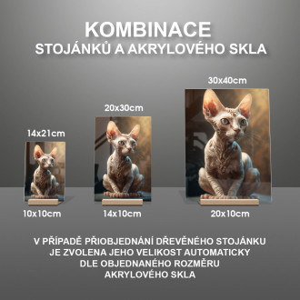 Devon Rex mačka akvarel