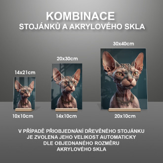 Sphynx mačka akvarel