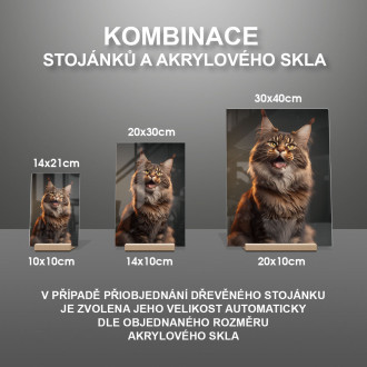 Mainská mývalia mačka akvarel