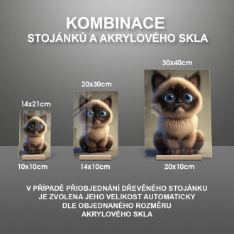 Siamská mačka animovaná