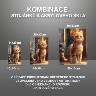 Ocicat mačka animovaná