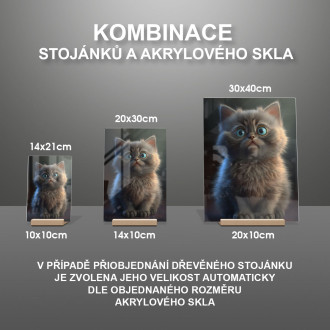 Barmská mačka animovaná