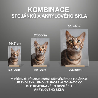 Ocicat mačka realistic