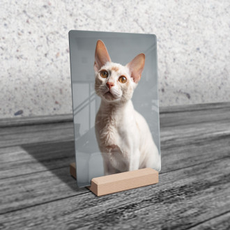 Devon Rex mačka realistic