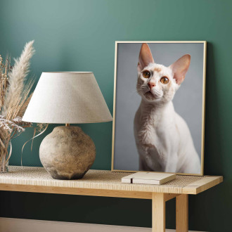 Devon Rex mačka realistic