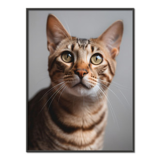 Ocicat mačka realistic