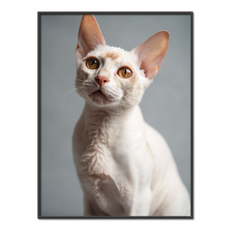 Devon Rex mačka realistic