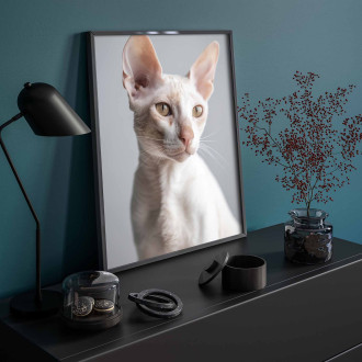 Cornish Rex mačka realistic