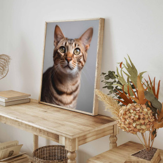 Ocicat mačka realistic