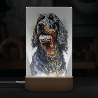 Gordon Setter akvarel