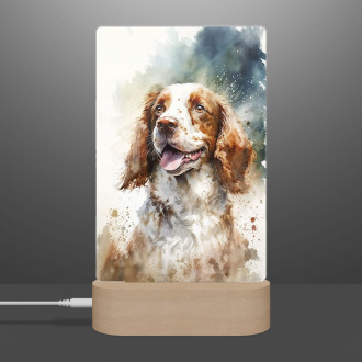 Welsh Springer Spaniel akvarel