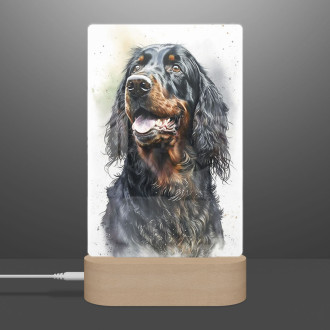 Gordon Setter akvarel