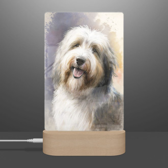 Bearded Collie akvarel