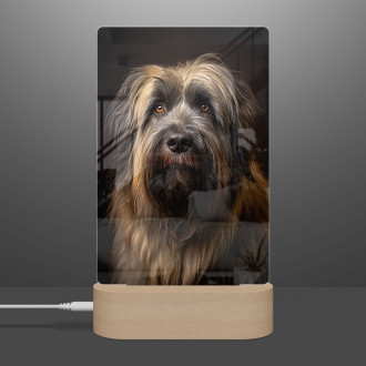 Briard realistic