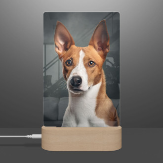 Basenji realistic