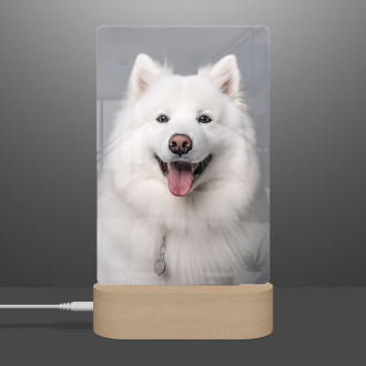 Samojed realistic