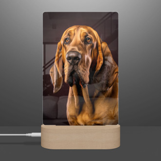 Bloodhound realistic