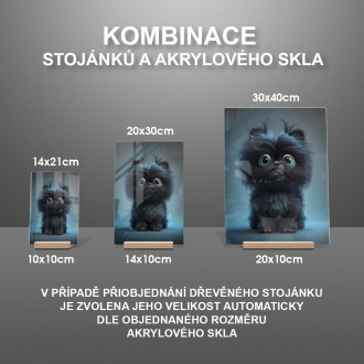 Affenpinscher pes animovaný