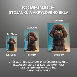 Írsky vodný španiel animovaný