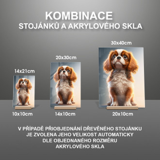 Cavalier King Charles Španiel animovaný