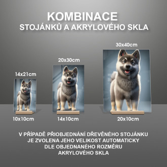 Nórsky Elkhound animovaný