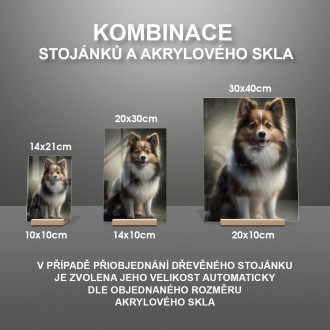 Islandský ovčiak animovaný