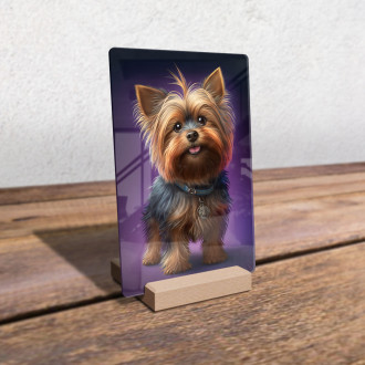 Silky Terrier animovaný