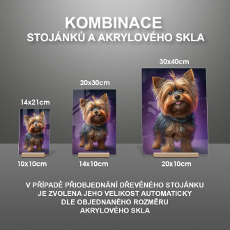 Silky Terrier animovaný