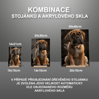 Bullmastiff animovaný