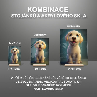 Labradorský retriever animovaný