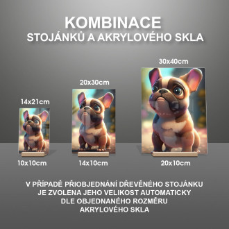 Francúzsky buldog animovaný