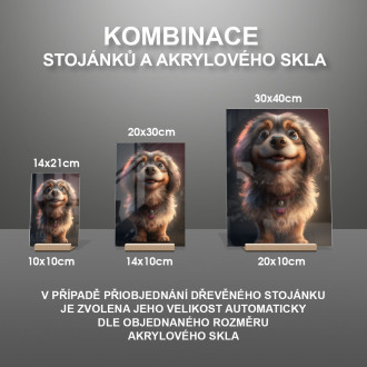 Chinook animovaný