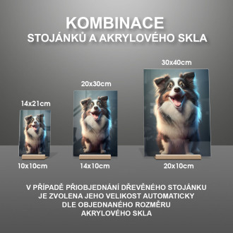 Kólia animovaný