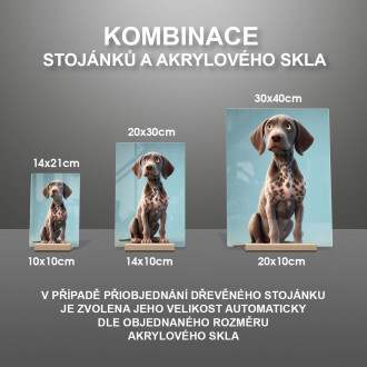 Nemecký krátkosrstý stavač animovaný