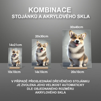 Švédsky Vallhund animovaný