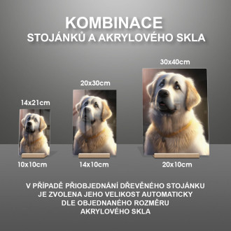 Anatolský pastiersky pes animovaný