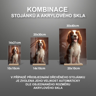 Welsh Springer Spaniel animovaný