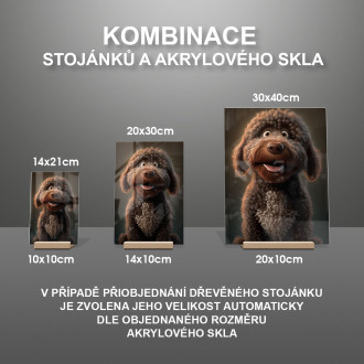 Španielsky vodný pes animovaný