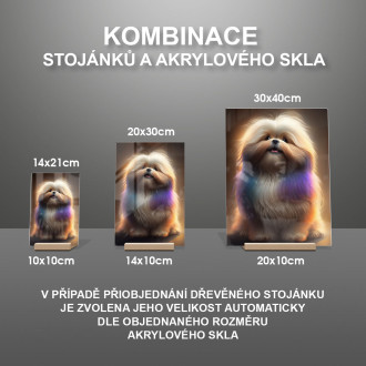 Lhasa Apso animovaný