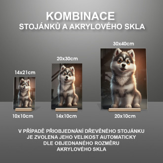 Sibírsky husky animovaný