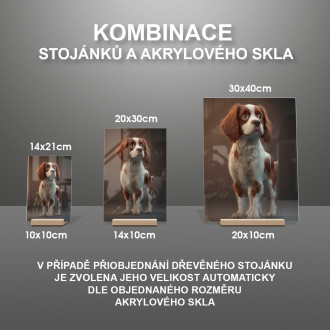 Írsky červeno-biely seter animovaný