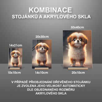 Lowchen animovaný