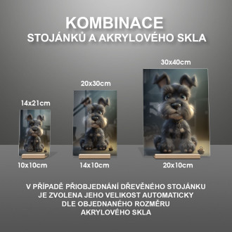 Malý bradáč animovaný
